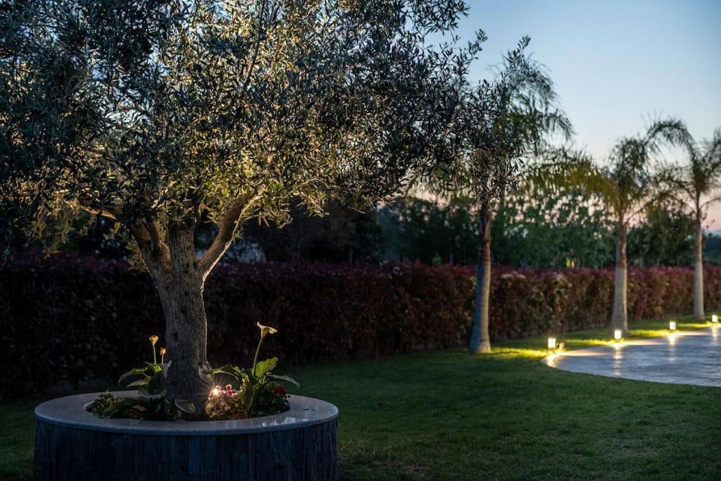 פרבזה "Aeolos" Luxury Villa מראה חיצוני תמונה